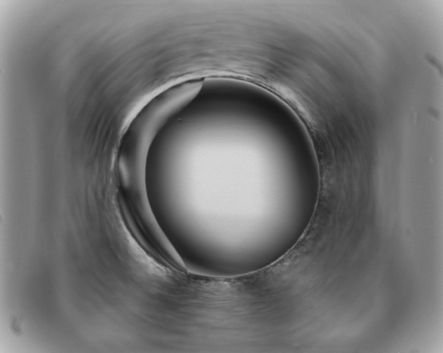 X0000091531524200708171209