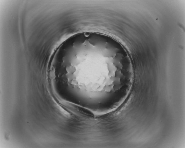 X0000091531525200708171209