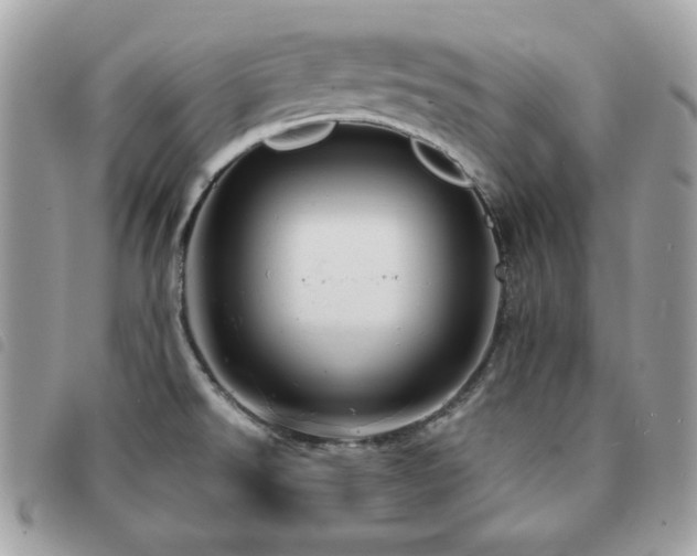 X0000091531526200708171209