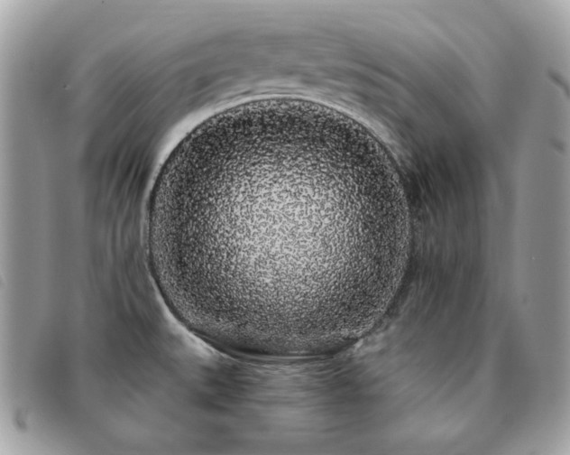 X0000091531527200708171209