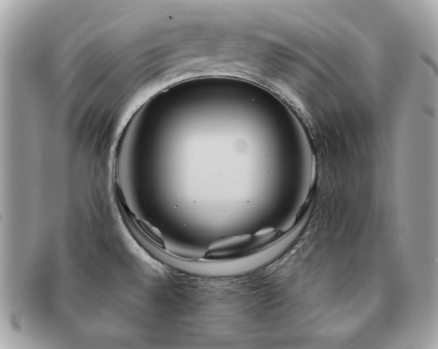 X0000091531528200708171209