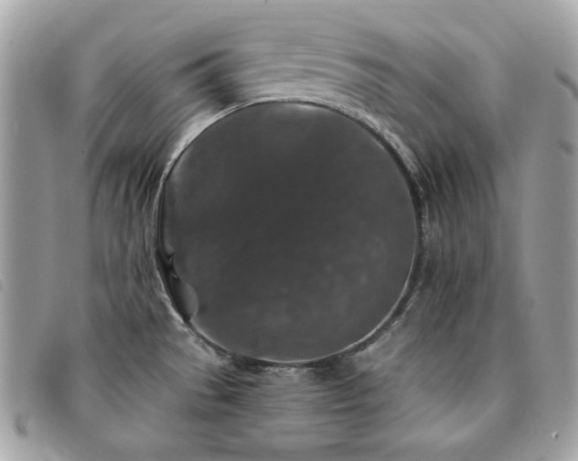 X0000091531529200708171209
