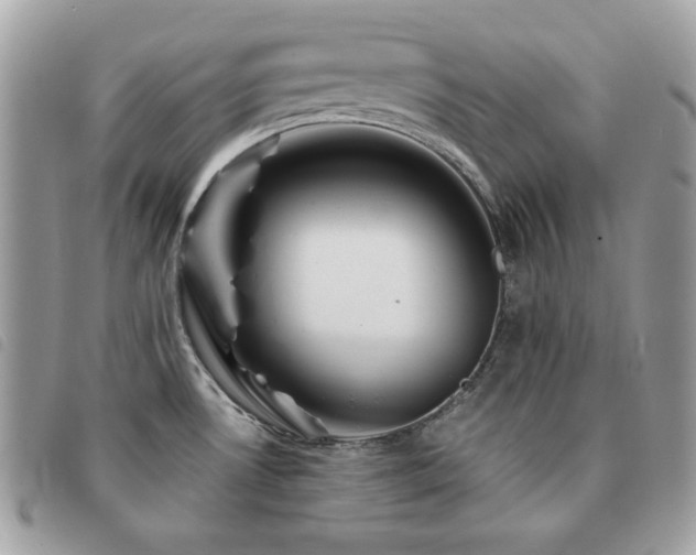X0000091531530200708171209