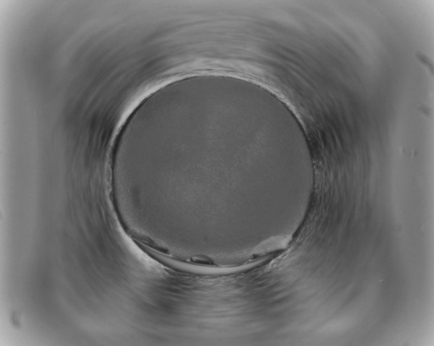 X0000091531531200708171209