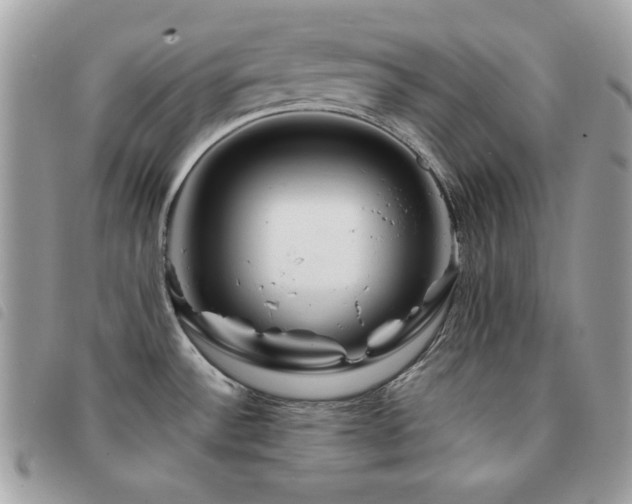 X0000091531532200708171209
