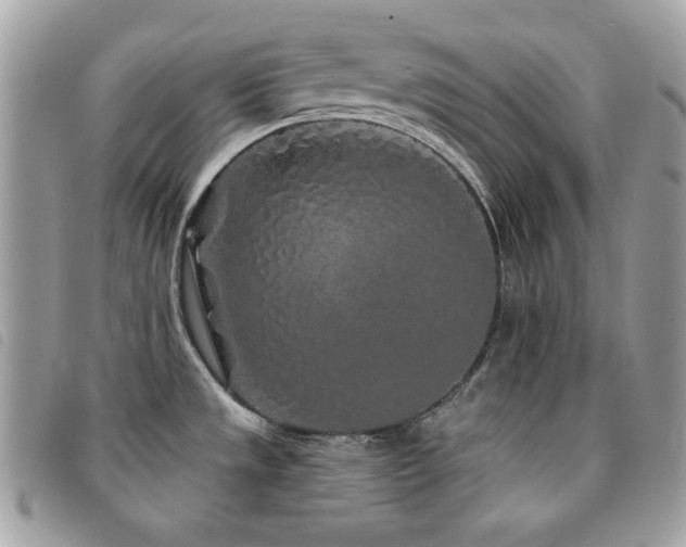 X0000091531533200708171209