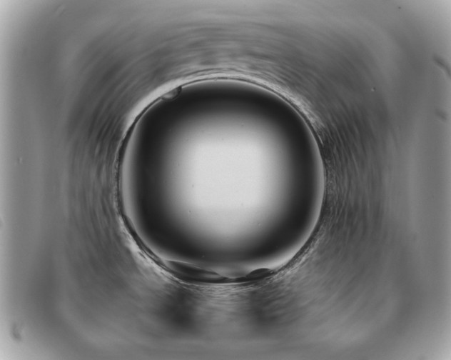 X0000091531534200708171209