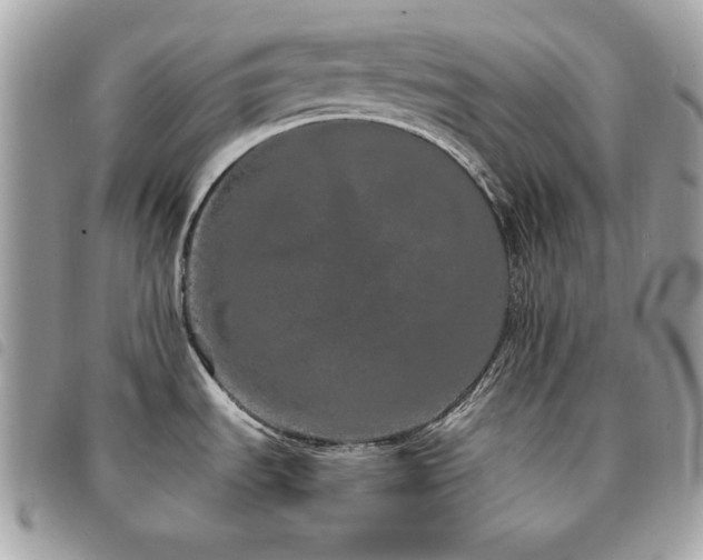 X0000091531535200708171209