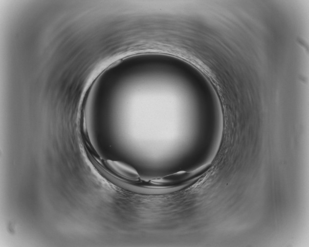 X0000091531536200708171209