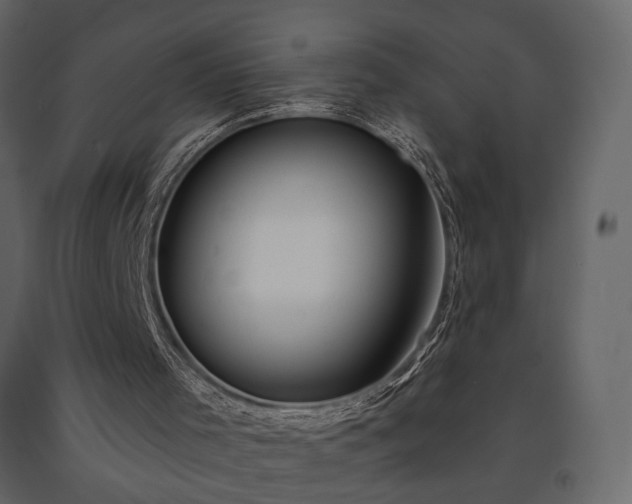 X0000091530001200708241722