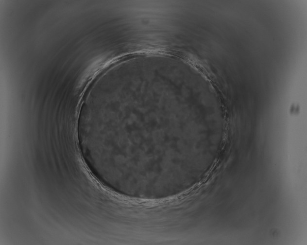 X0000091530002200708241722