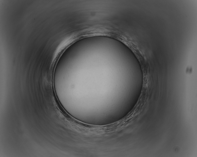 X0000091530004200708241722