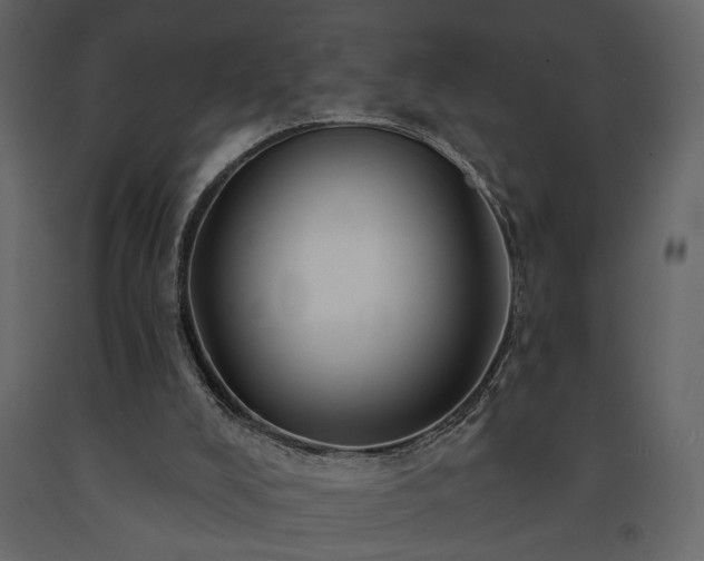 X0000091530008200708241722