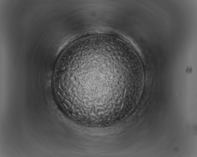 X0000091530010200708241722