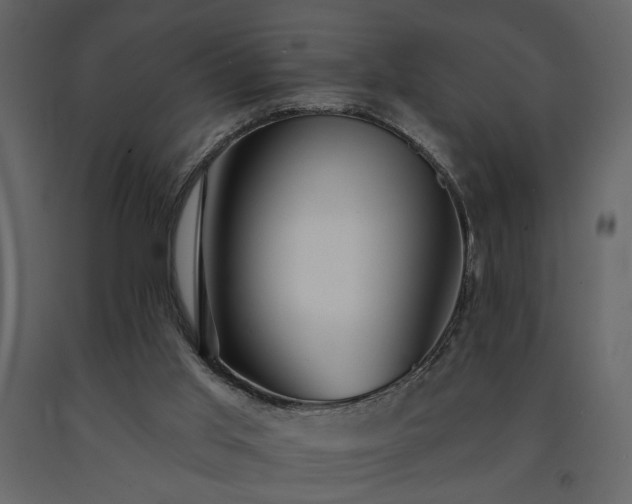 X0000091530013200708241722