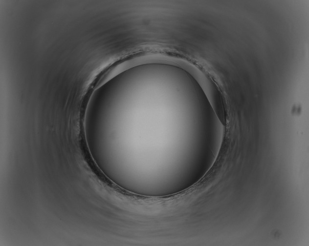 X0000091530015200708241722