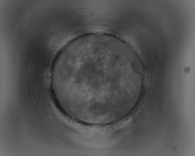 X0000091530016200708241721