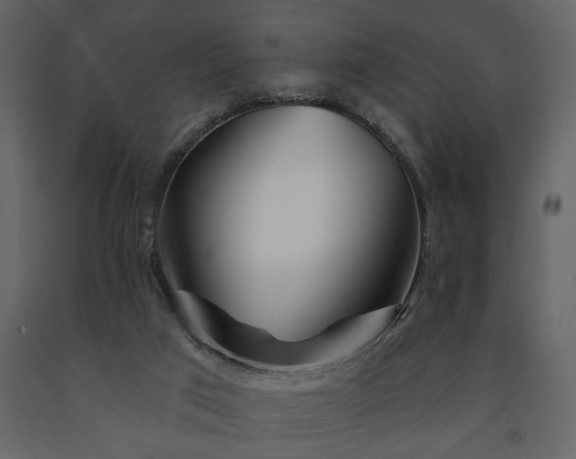 X0000091530017200708241721