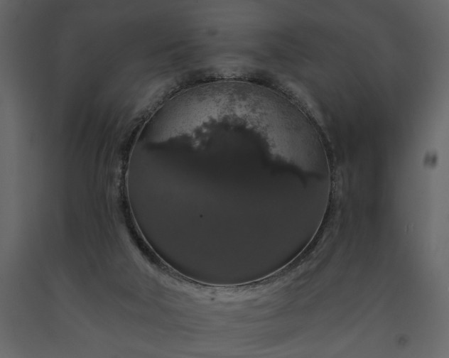 X0000091530018200708241721