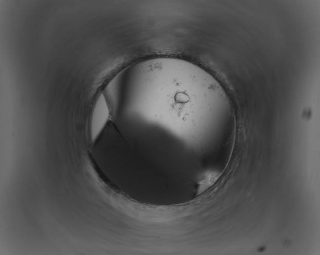 X0000091530019200708241721