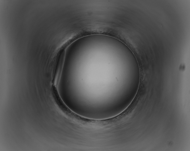 X0000091530020200708241721