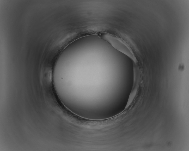 X0000091530021200708241721