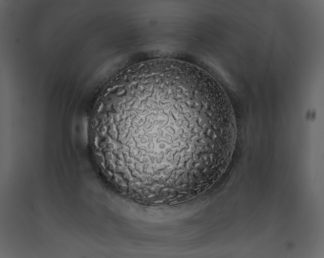X0000091530022200708241721