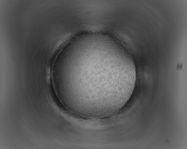 X0000091530024200708241721
