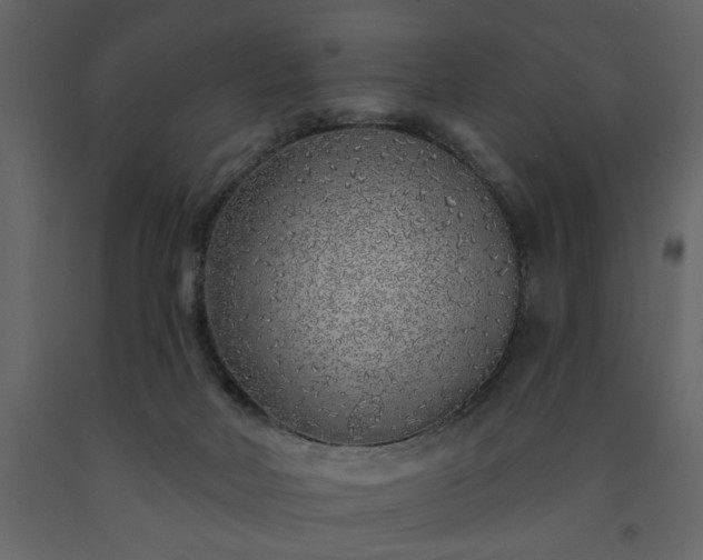 X0000091530026200708241721
