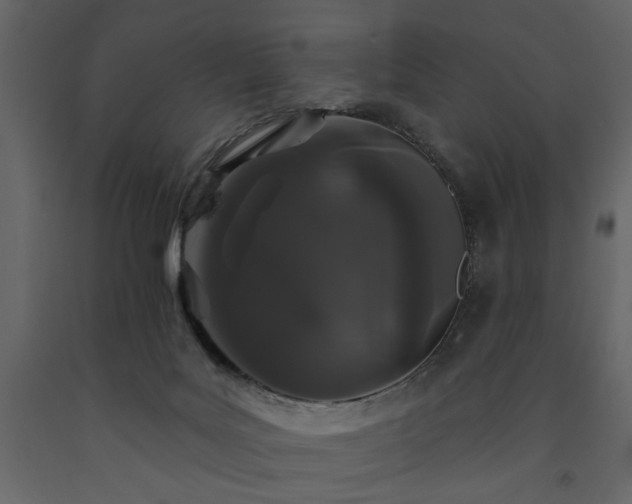 X0000091530027200708241721