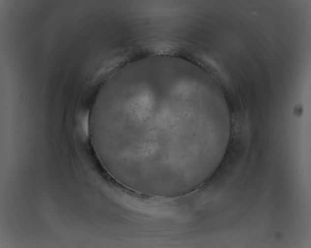 X0000091530028200708241721