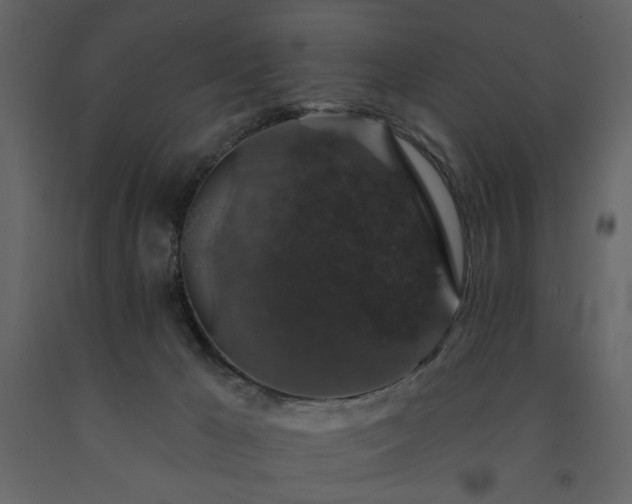 X0000091530029200708241721