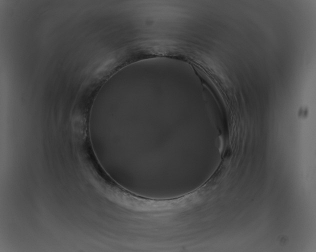 X0000091530031200708241721