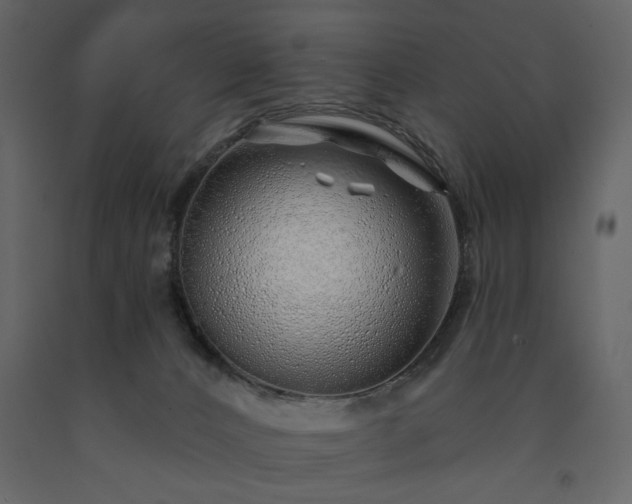 X0000091530032200708241721