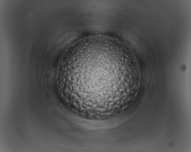 X0000091530034200708241721