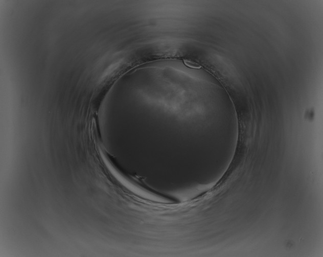 X0000091530035200708241721