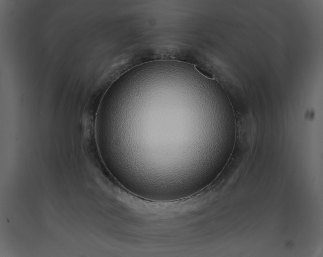 X0000091530038200708241721