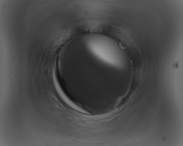 X0000091530039200708241721