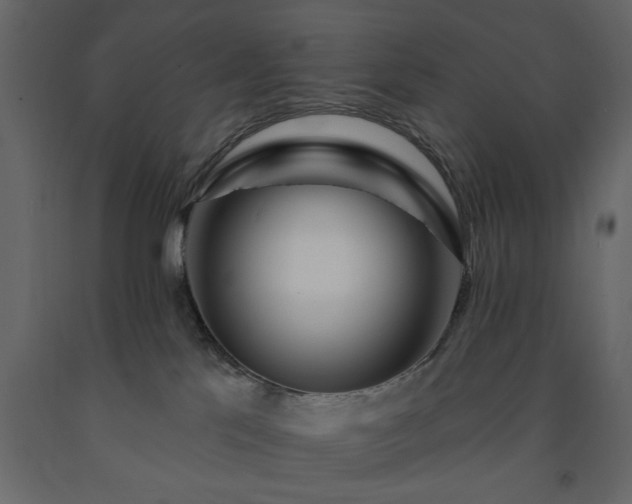 X0000091530041200708241721
