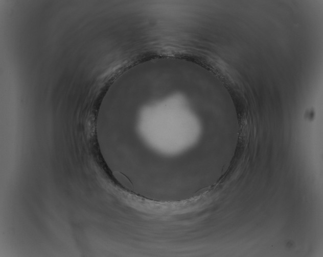 X0000091530043200708241721