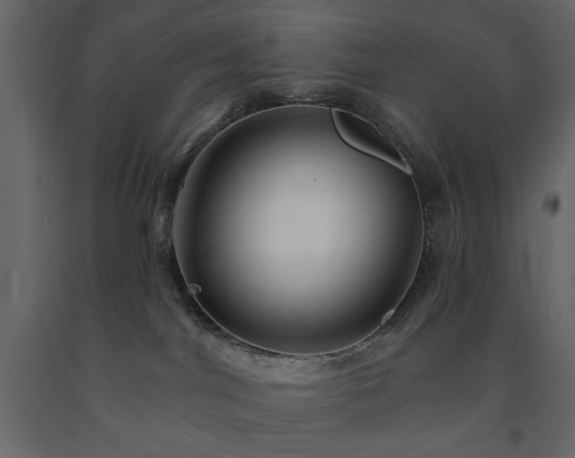 X0000091530044200708241721