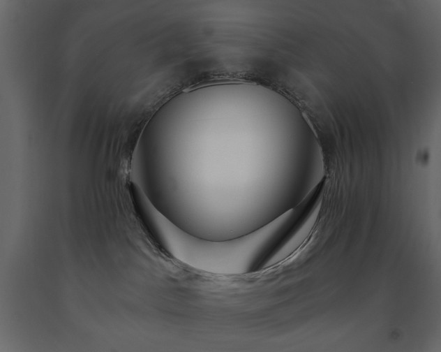 X0000091530045200708241721