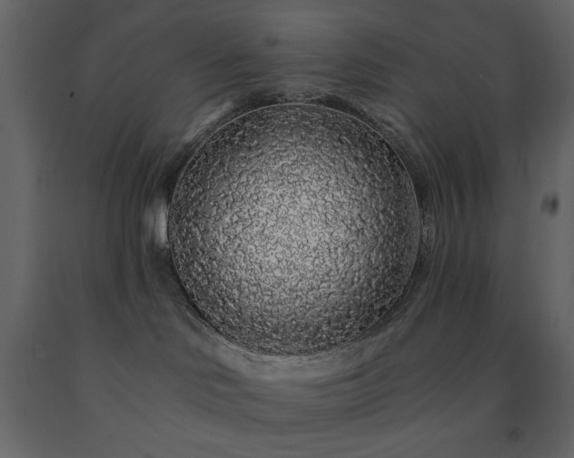X0000091530046200708241721