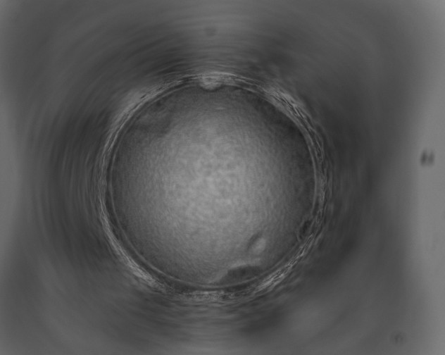 X0000091530049200708241720