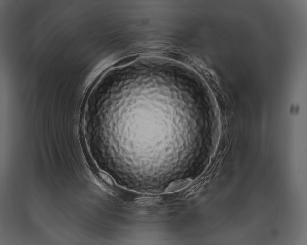 X0000091530051200708241720