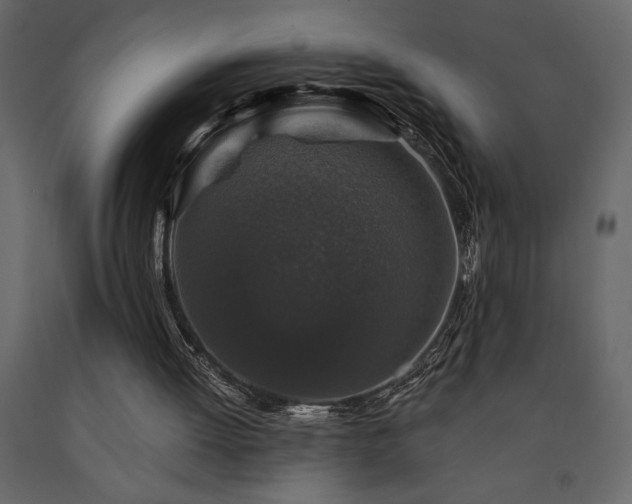 X0000091530052200708241720