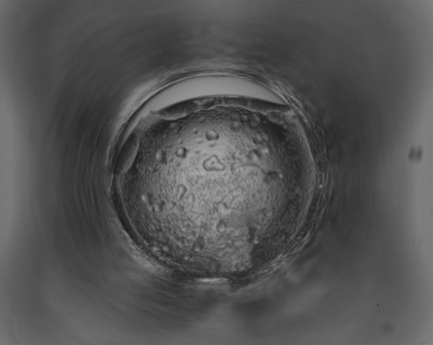 X0000091530053200708241720