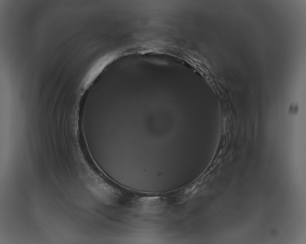 X0000091530054200708241720
