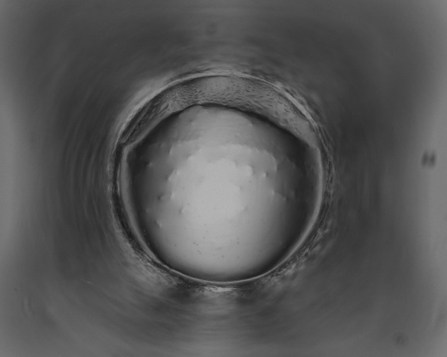 X0000091530055200708241720