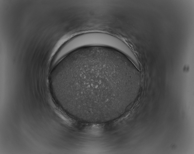 X0000091530056200708241720